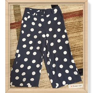 Loft Polka Dot Wide Leg Pant